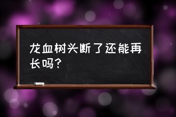 龙血树断头后怎样快速发芽 龙血树头断了还能再长吗？