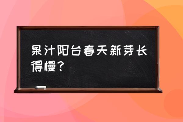 春天喝什么果汁排毒最好 果汁阳台春天新芽长得慢？