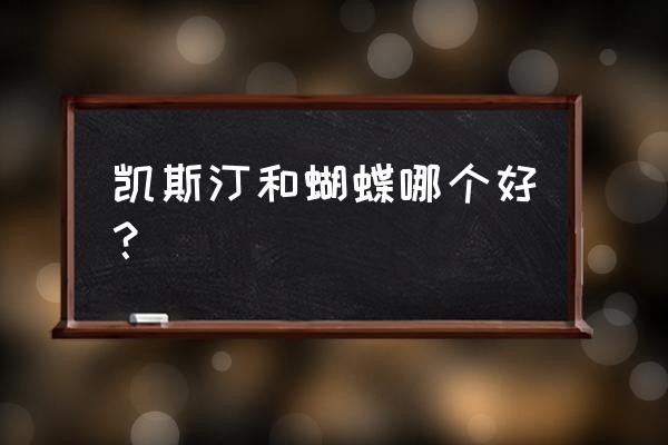 乒乓球器材基本知识 凯斯汀和蝴蝶哪个好？