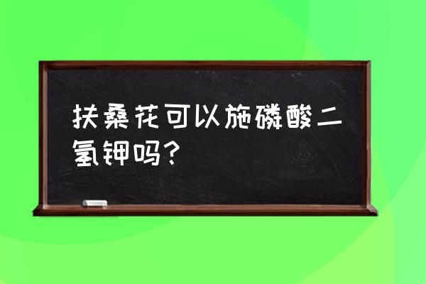 扶桑小苗用什么肥最好 扶桑花可以施磷酸二氢钾吗？