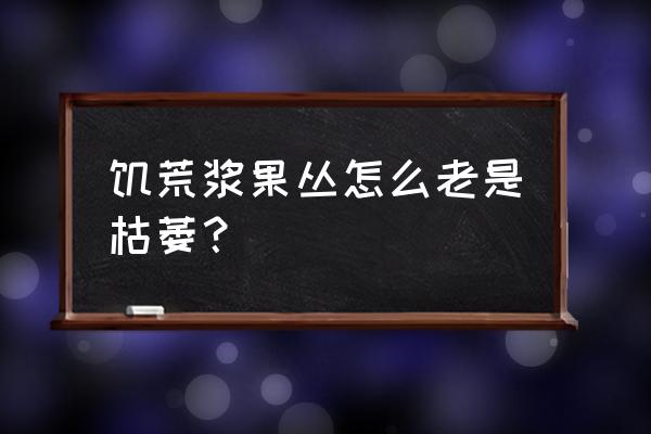 饥荒多汁浆果怎么不结果 饥荒浆果丛怎么老是枯萎？