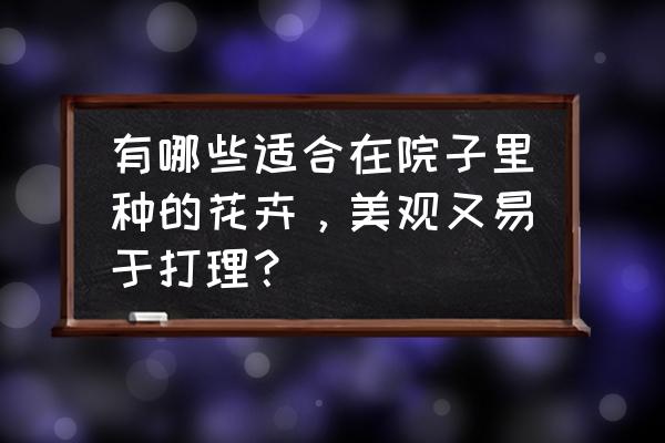 6种省心的观叶植物 有哪些适合在院子里种的花卉，美观又易于打理？