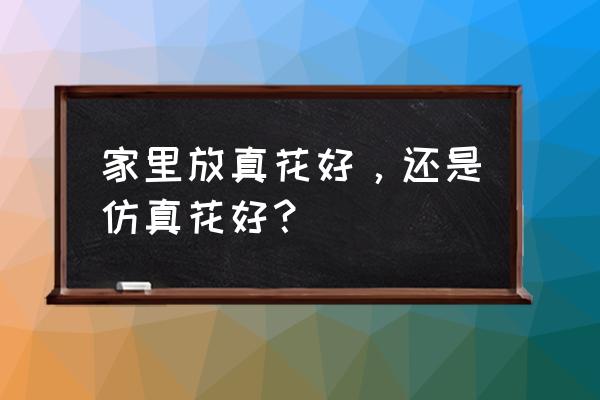 鲜花买什么好养 家里放真花好，还是仿真花好？