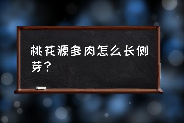 多肉长太高歪倒怎么处理 桃花源多肉怎么长侧芽？