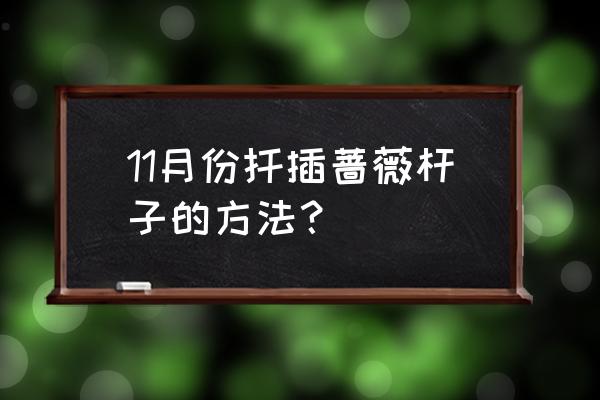 蔷薇移栽最佳时间 11月份扦插蔷薇杆子的方法？