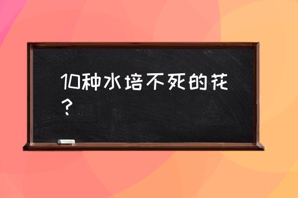 有哪些植物可以水培 10种水培不死的花？