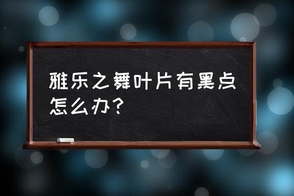 雅乐之舞叶子掉光了怎么办 雅乐之舞叶片有黑点怎么办？