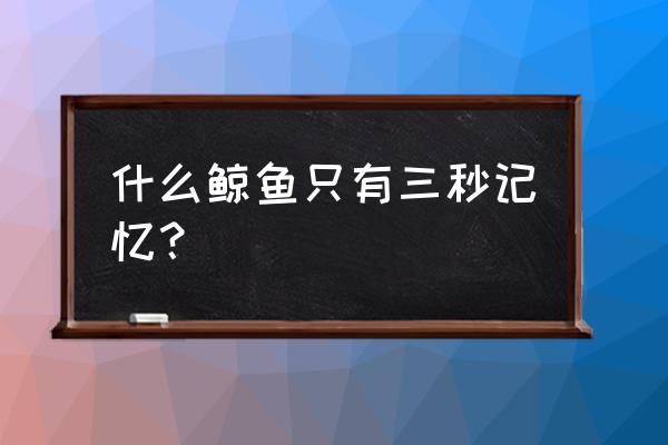 妙游账号容易找回么 什么鲸鱼只有三秒记忆？