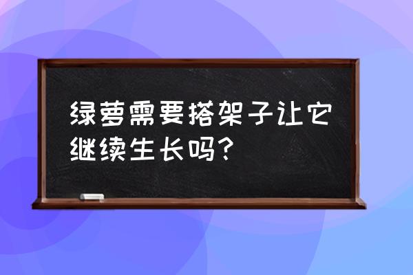 绿萝可以插枝成活吗 绿萝需要搭架子让它继续生长吗？