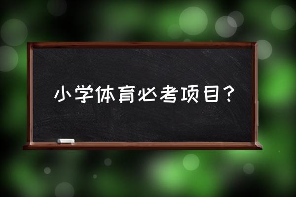 轻体育的项目有哪几个 小学体育必考项目？