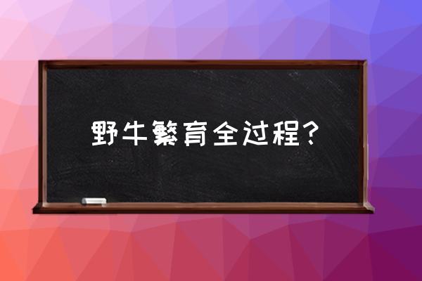 迷你世界中如何让牛繁育 野牛繁育全过程？