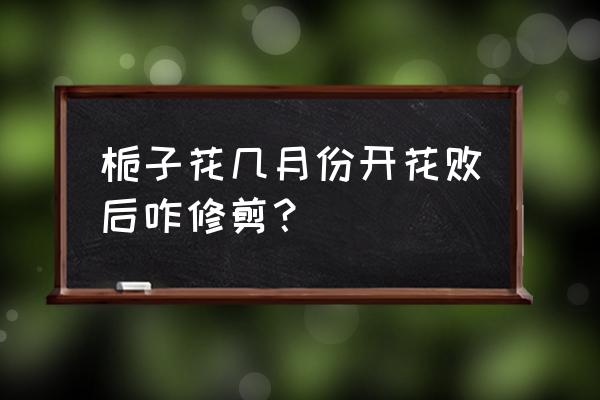 栀子花怎么养殖开花后怎样修剪 栀子花几月份开花败后咋修剪？