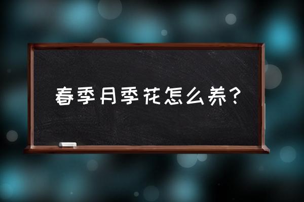 春季盆栽月季花的管理技术和方法 春季月季花怎么养？