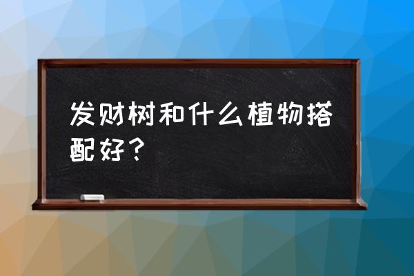 发财树元宝怎么画 发财树和什么植物搭配好？