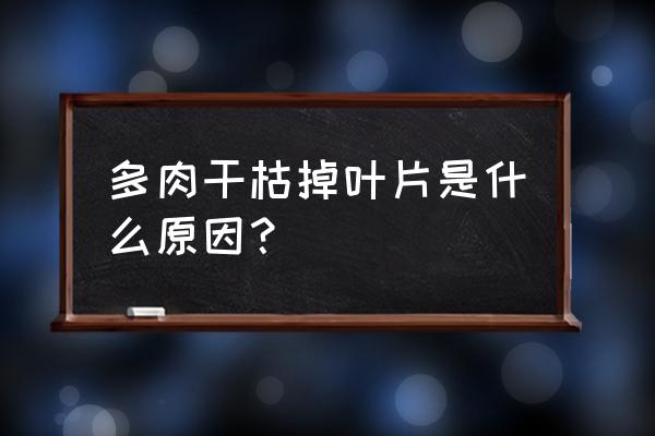 多肉银月叶子变软变黑怎么办 多肉干枯掉叶片是什么原因？