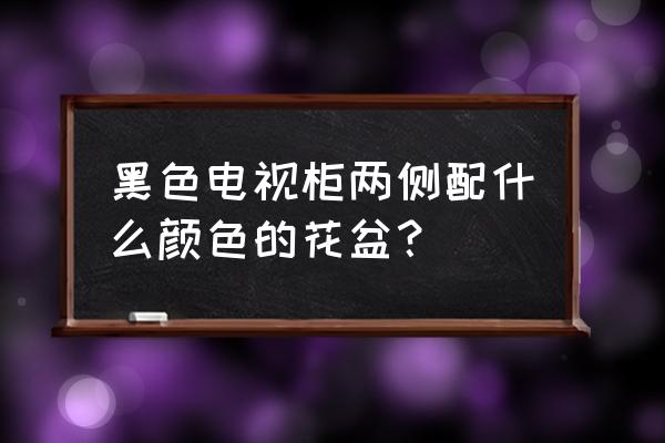 黑色的电视柜怎么搭配 黑色电视柜两侧配什么颜色的花盆？