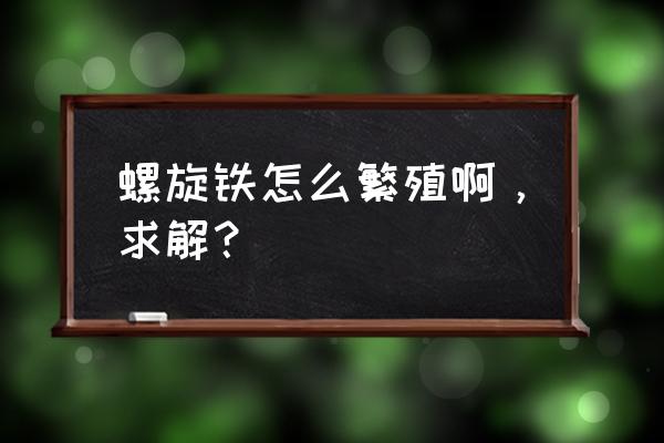 螺旋铁在冬天怎么养殖 螺旋铁怎么繁殖啊，求解？