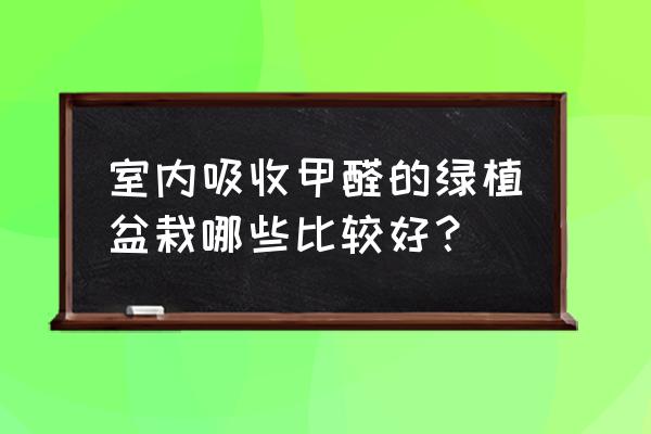 除甲醛房子里放什么花好呢 室内吸收甲醛的绿植盆栽哪些比较好？