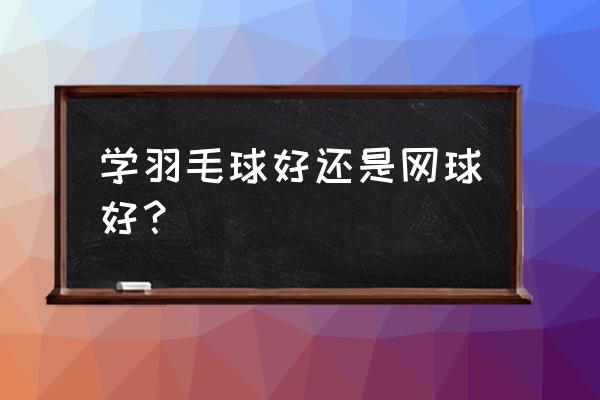 入门级网球训练用球 学羽毛球好还是网球好？