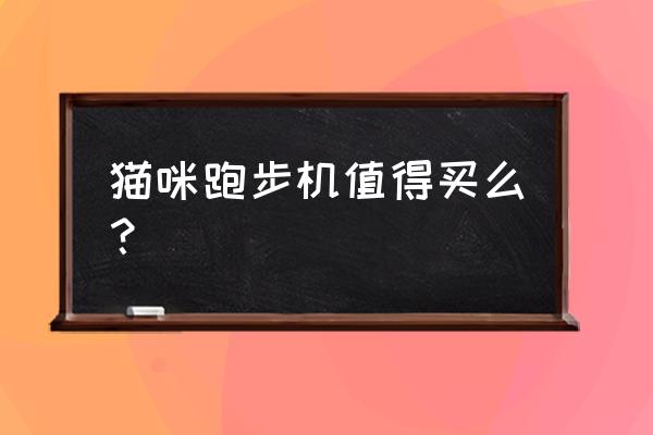 跑步机买什么样的好用 猫咪跑步机值得买么？