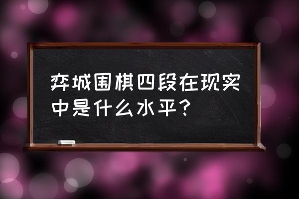 全国业余围棋公开赛四段组 弈城围棋四段在现实中是什么水平？