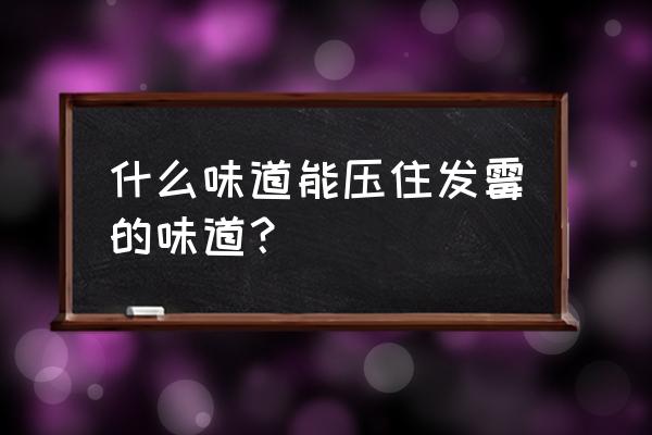 住在潮湿发霉房间怎么消除霉味 什么味道能压住发霉的味道？