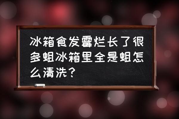 冰箱里长蛆了怎么处理干净 冰箱食发霉烂长了很多蛆冰箱里全是蛆怎么清洗？