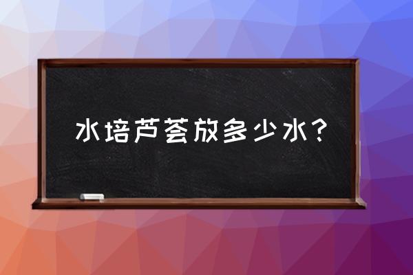 芦荟水培怎样长得好 水培芦荟放多少水？