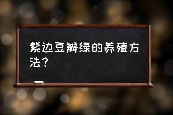 豆瓣绿用什么样的土养最好 紫边豆瓣绿的养殖方法？