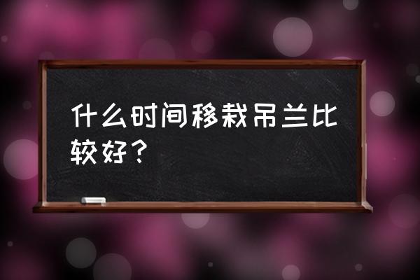 金边吊兰最佳移栽时间 什么时间移栽吊兰比较好？