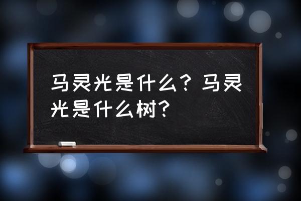 暗黑不朽武器如何发光的 马灵光是什么？马灵光是什么树？