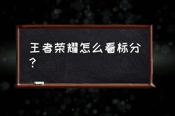 王者荣耀市级赛排行榜在哪看 王者荣耀怎么看标分？