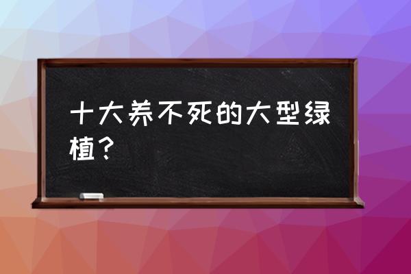 十四种净化空气的植物 十大养不死的大型绿植？