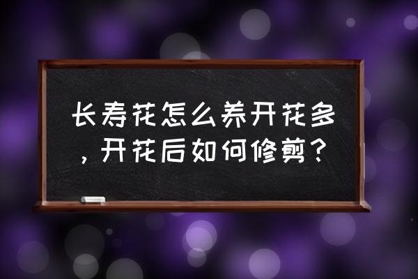 长寿花的盆栽方法和技巧 长寿花怎么养开花多，开花后如何修剪？