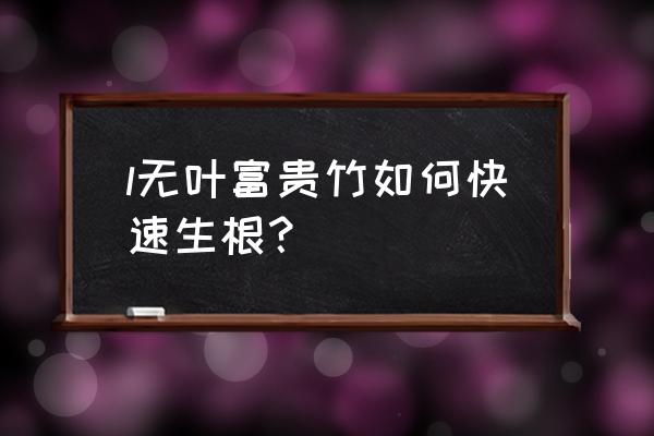 富贵竹的功效与作用 l无叶富贵竹如何快速生根？