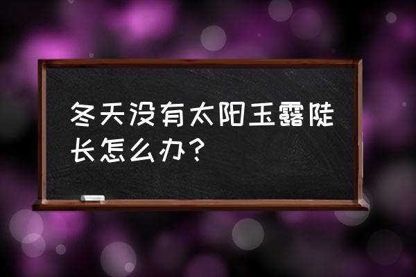 玉露多肉叶片上出现小疙瘩 冬天没有太阳玉露陡长怎么办？