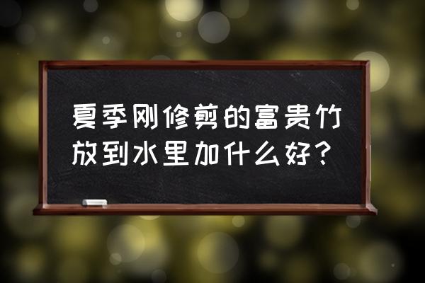 如何养富贵竹放阿司匹林 夏季刚修剪的富贵竹放到水里加什么好？