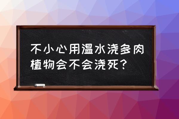 长期不能浇水的多肉植物 不小心用温水浇多肉植物会不会浇死？