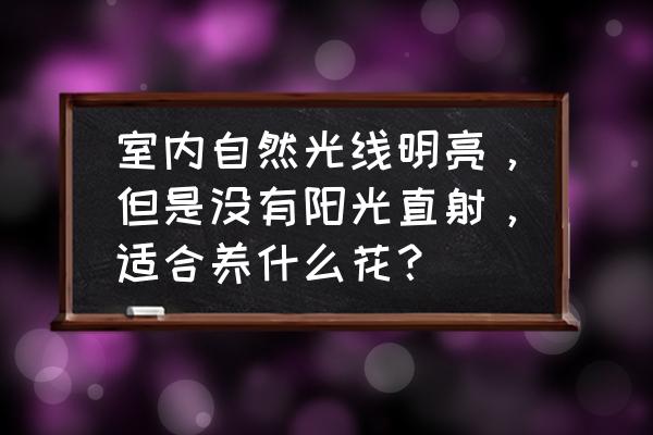 阳光房里适合养什么花卉和植物 室内自然光线明亮，但是没有阳光直射，适合养什么花？