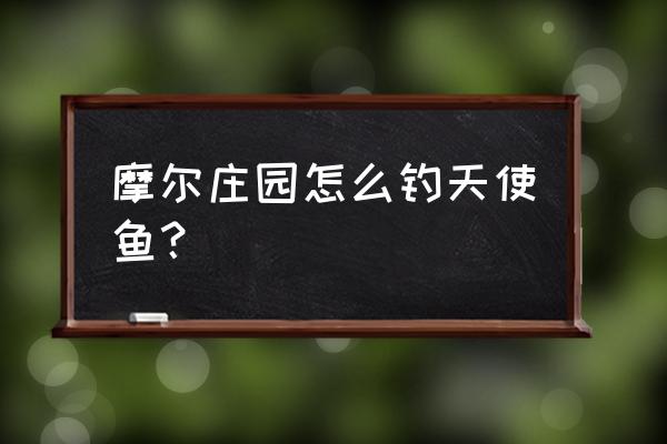 摩尔庄园小镇怎么进 摩尔庄园怎么钓天使鱼？