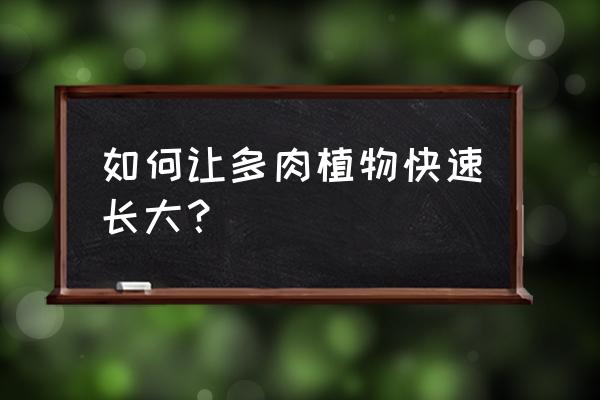 多肉养殖新手建议 如何让多肉植物快速长大？