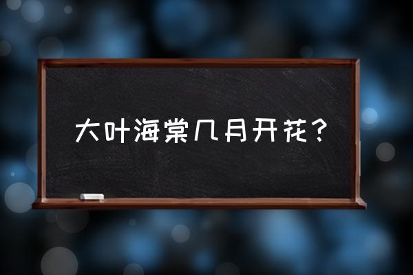 怎么促进大叶海棠开花 大叶海棠几月开花？