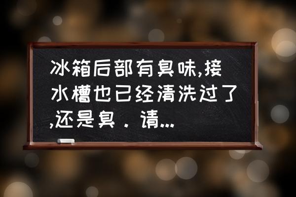 冰箱怎么清洗小窍门 冰箱后部有臭味,接水槽也已经清洗过了,还是臭。请问怎么解决呢？