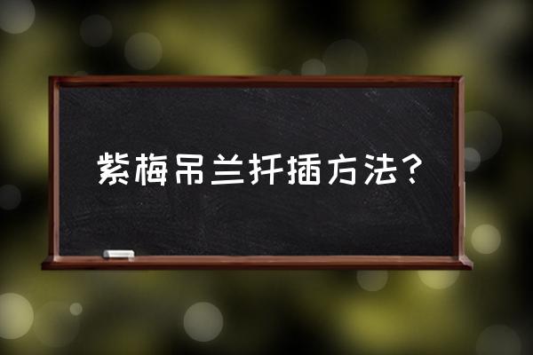 紫吊兰水养和土养哪个方法好 紫梅吊兰扦插方法？