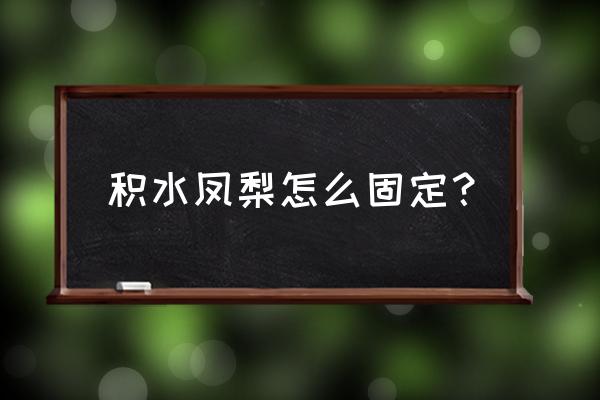 凤梨花的冬天养殖方法 积水凤梨怎么固定？