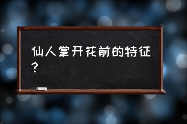 仙人掌怎么快速开花 仙人掌开花前的特征？