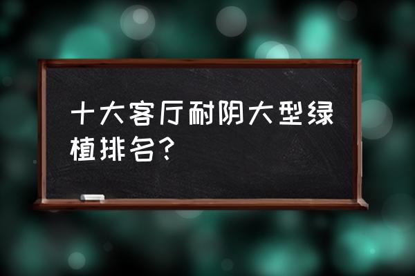 适合客厅里摆放的绿植 十大客厅耐阴大型绿植排名？