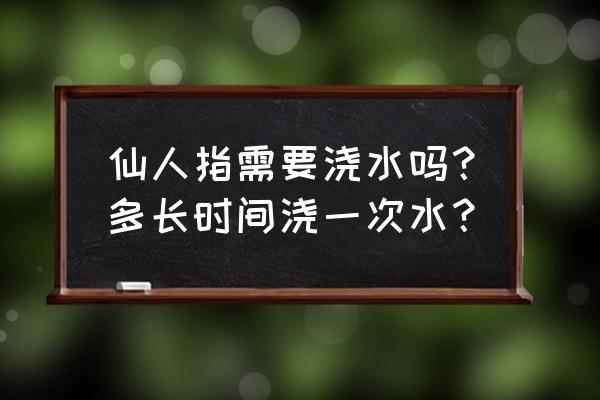 仙人指花期养殖方法及注意事项 仙人指需要浇水吗？多长时间浇一次水？