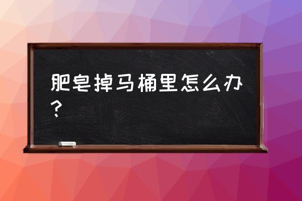 肥皂掉进马桶里堵住了怎么办 肥皂掉马桶里怎么办？