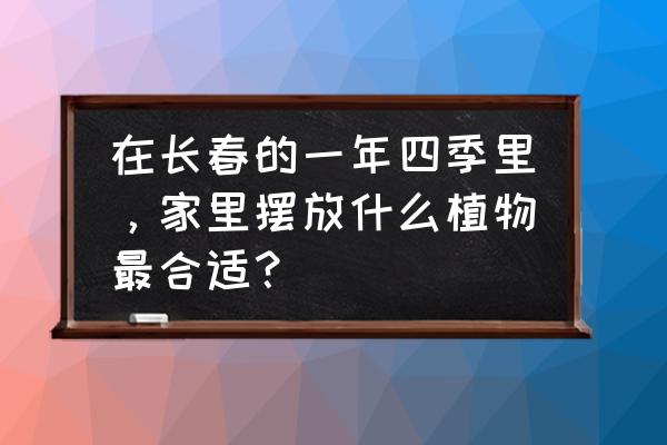 家里不宜摆放的植物有哪些 在长春的一年四季里，家里摆放什么植物最合适？